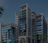 Real Estate & Property