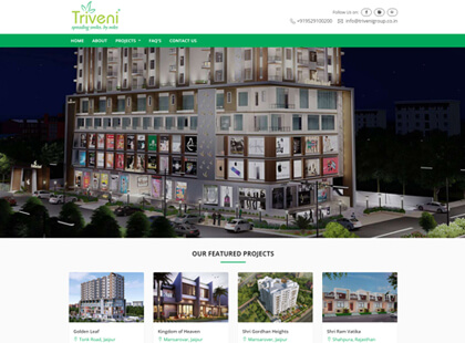 Triveni Group